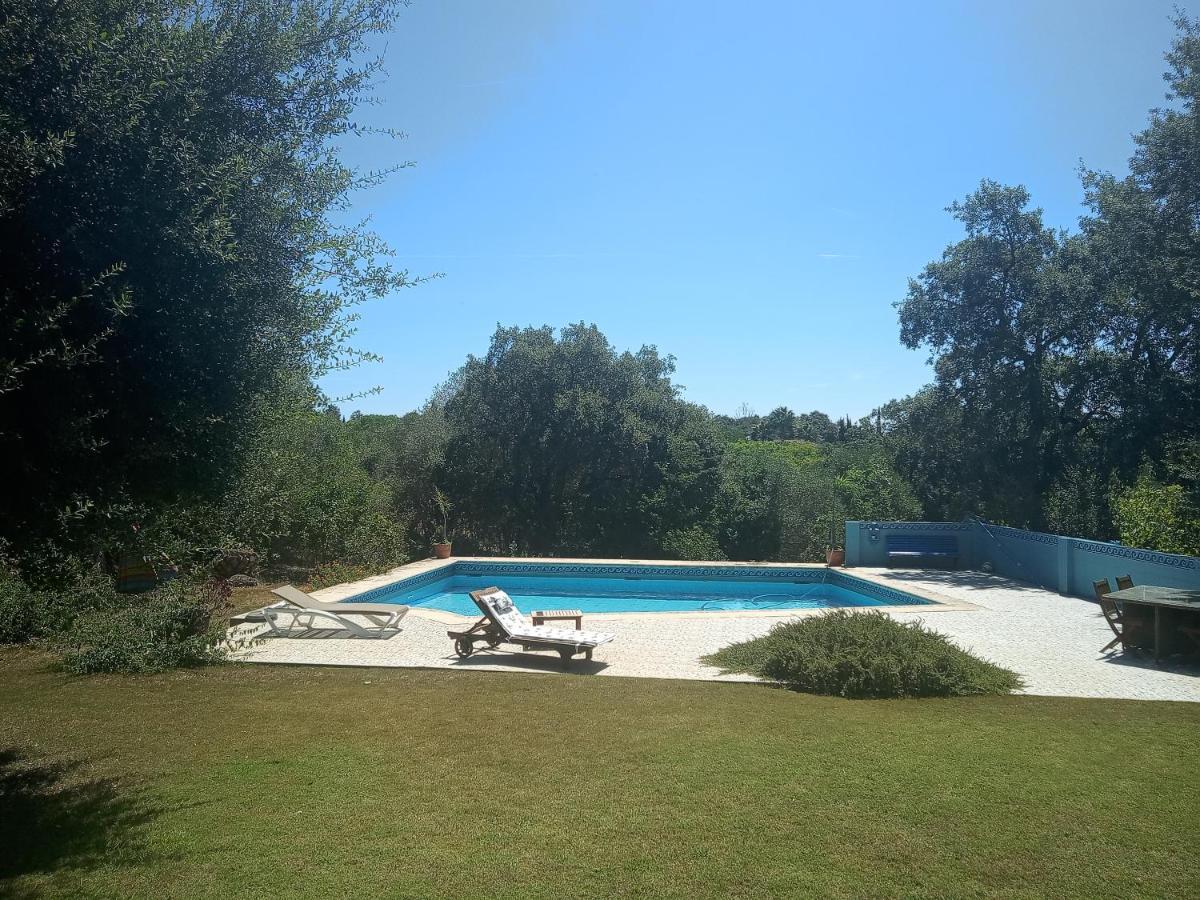 Sotogrande - Estancia En Plena Naturaleza - Abril Kültér fotó