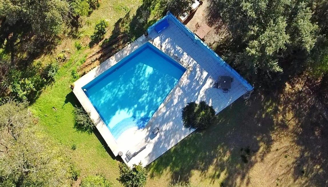 Sotogrande - Estancia En Plena Naturaleza - Abril Kültér fotó