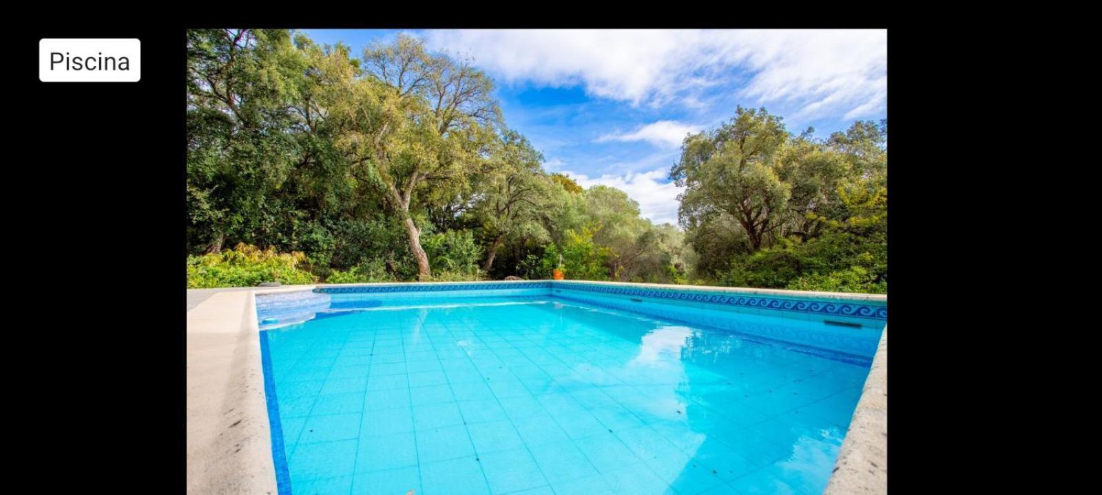 Sotogrande - Estancia En Plena Naturaleza - Abril Kültér fotó